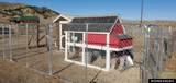3809 Grass Creek Road - Photo 4
