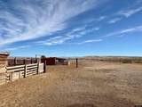 655 Rd 1 - Photo 29