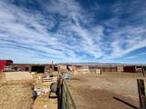 655 Rd 1 - Photo 47
