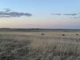 Lot 75 Pine Ridge Road - Photo 4