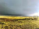 TBD Trapper Trail - Photo 15