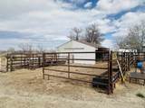 865 Paradise Valley Road - Photo 38