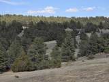 Lot 149 Coyote Trail - Photo 2