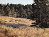 Lot 149 Coyote Trail - Photo 4