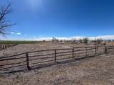 1540 Missouri Valley Road - Photo 41