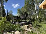 582 Porcupine Dr - Photo 37