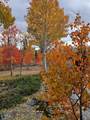 582 Porcupine Dr - Photo 48