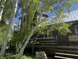 582 Porcupine Dr - Photo 7
