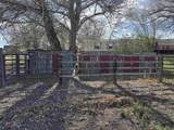89 Sharp Nose Rd - Photo 40