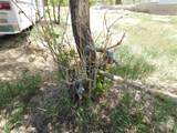 506 R Street - Photo 11