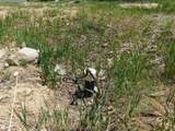 506 R Street - Photo 12