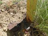 506 R Street - Photo 3