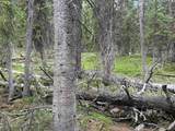 Tract 58 Overlook Retreat - Photo 11