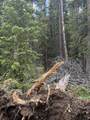 Tract 58 Overlook Retreat - Photo 16