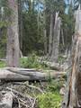 Tract 58 Overlook Retreat - Photo 18