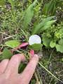 Tract 58 Overlook Retreat - Photo 20