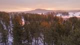7 Wilderness Trail - Photo 10