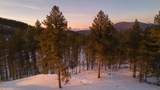 7 Wilderness Trail - Photo 14