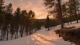 7 Wilderness Trail - Photo 15