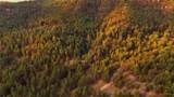 7 Wilderness Trail - Photo 6