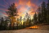 7 Wilderness Trail - Photo 9