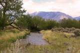 52 Road 8Uc - Photo 6