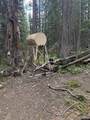 Tract 58 Overlook Retreat - Photo 9