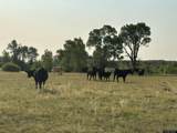 433 Rendezvous Rd - Photo 24