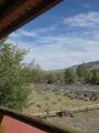 1404 Warm Springs Drive - Photo 33