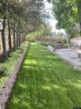 2305 New Hampshire Street - Photo 39