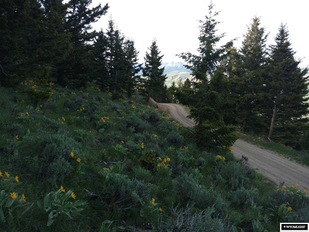 00 Porcupine Drive - Photo 1