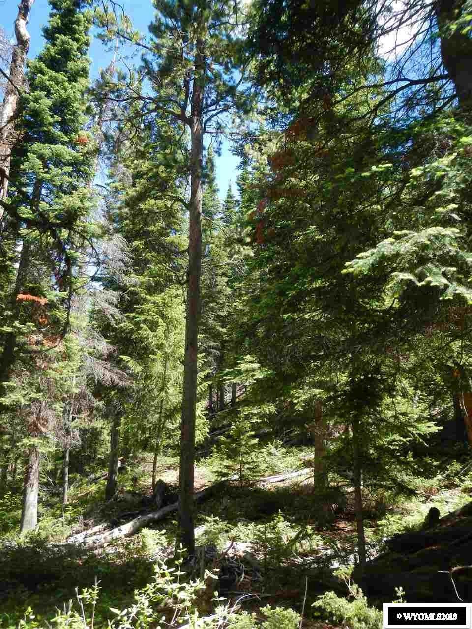 Lot 12 Long Creek Subdivision - Photo 1