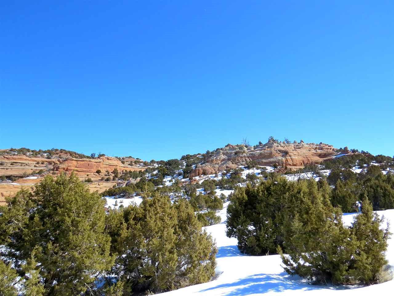 336 Willow Creek Road - Photo 1