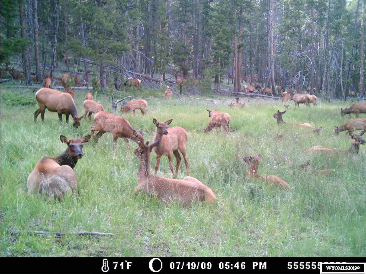 0 Bull Camp Rd - Photo 1