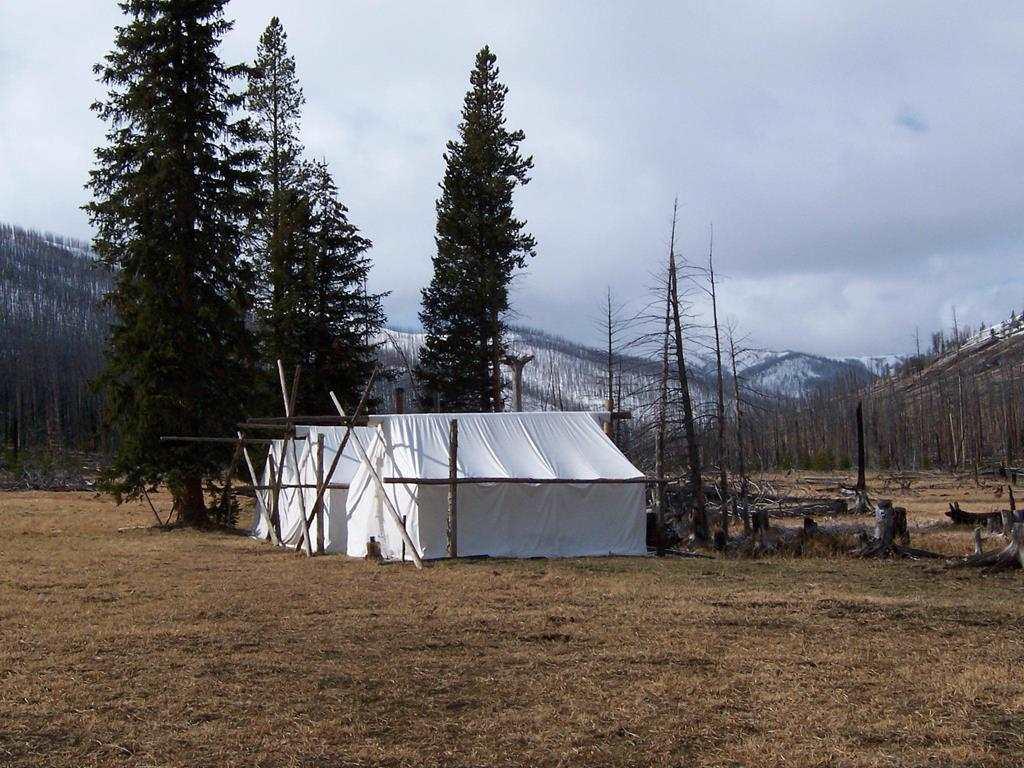 0 Tbd Forest - Photo 1