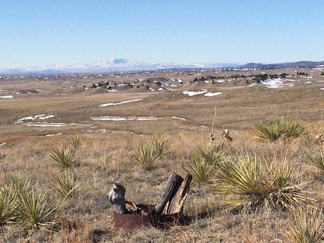 Lot #51 Cowboy Way - Photo 1