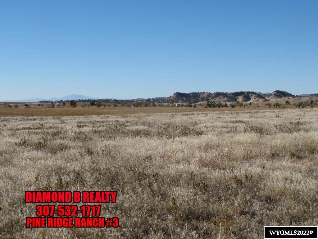 Lot 3 Buffalo Blvd - Photo 1
