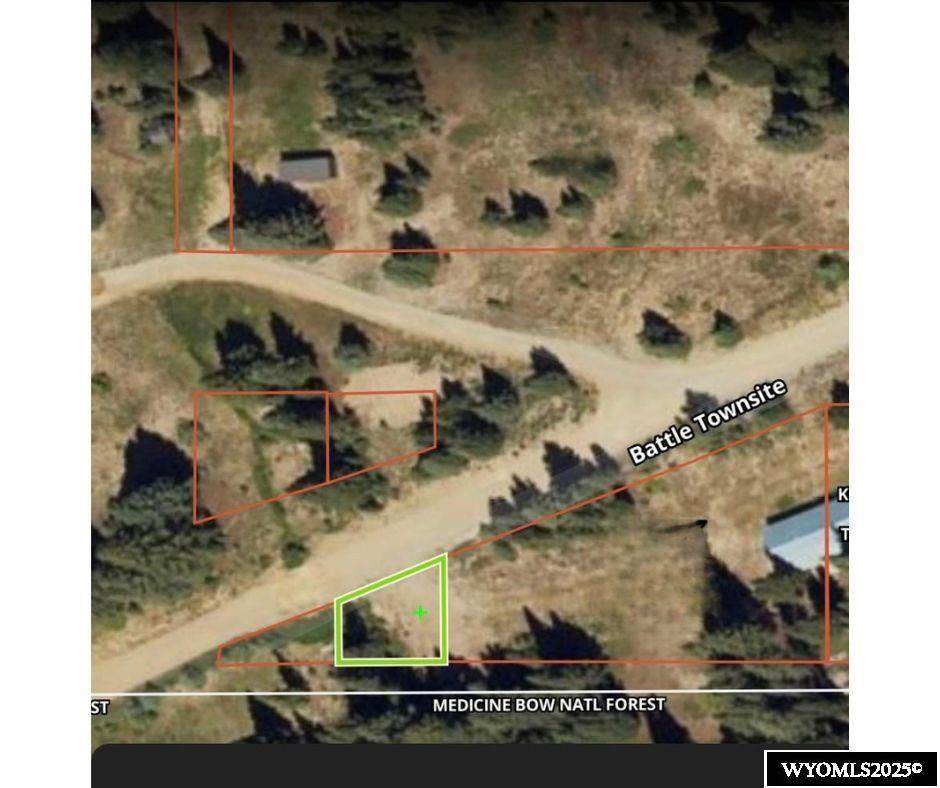 Lot 118 & 120 Townsite At Battle Creek - Photo 1