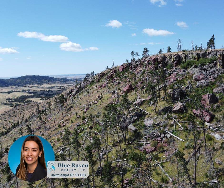 TBD Whalen Canyon Rd - Photo 1
