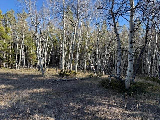6.44 acres Trail Road - Photo 1