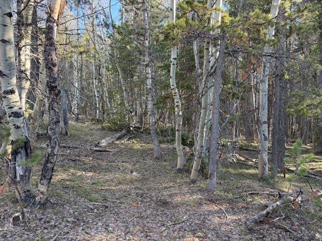 https://bt-photos.global.ssl.fastly.net/wyoming/orig_boomver_1_20261608-2.jpg