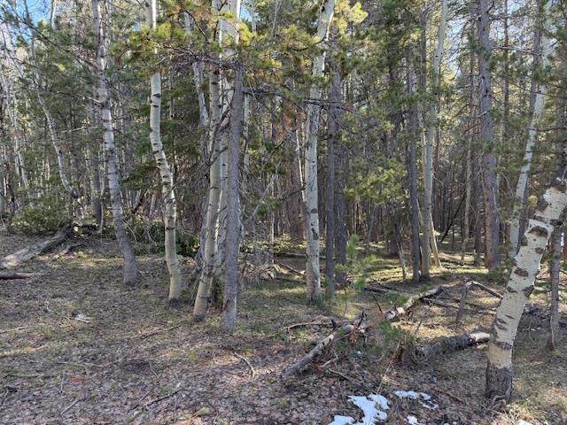 https://bt-photos.global.ssl.fastly.net/wyoming/orig_boomver_1_20261608-2.jpg