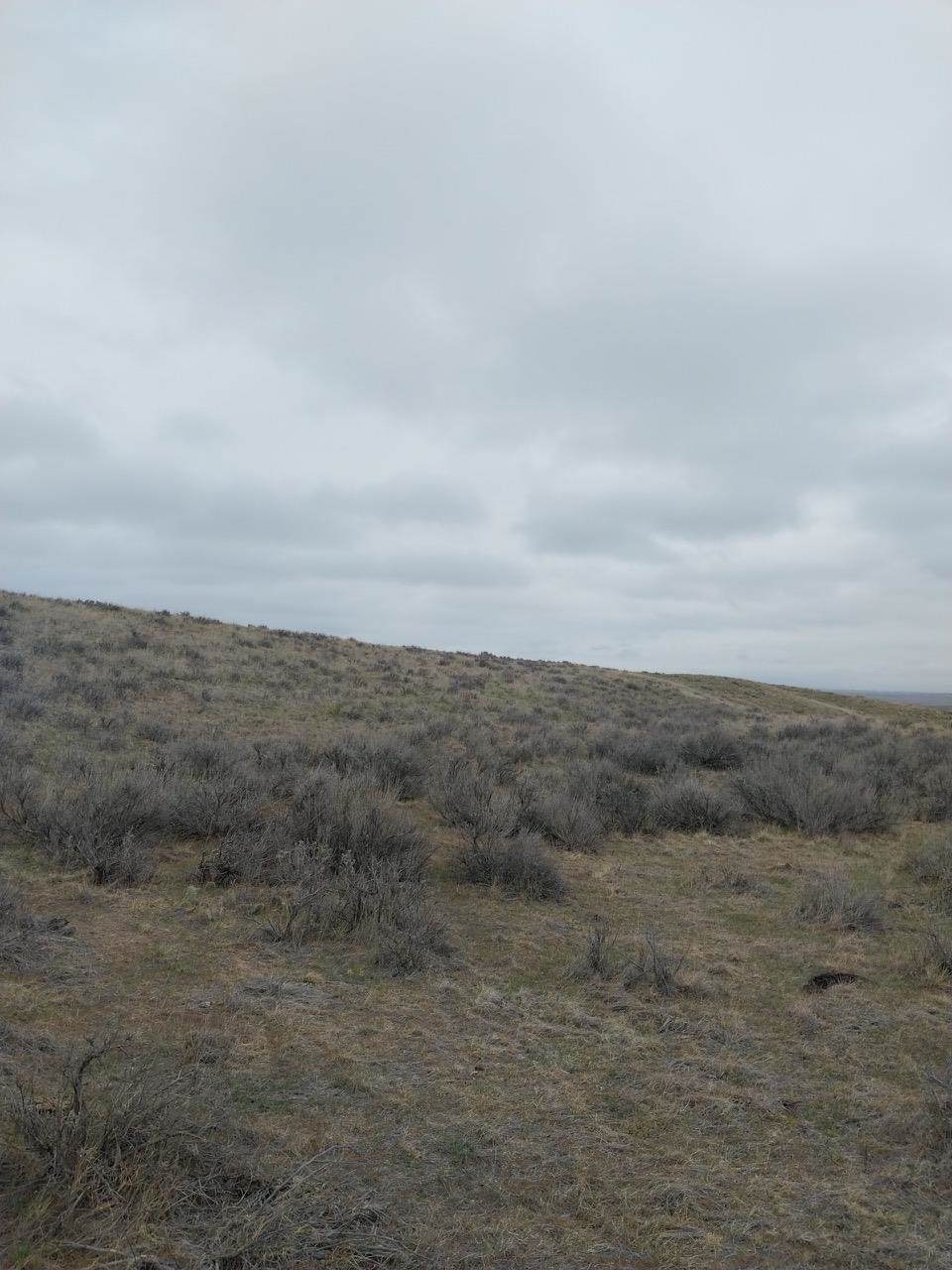 https://bt-photos.global.ssl.fastly.net/wyoming/orig_boomver_1_20261893-2.jpg