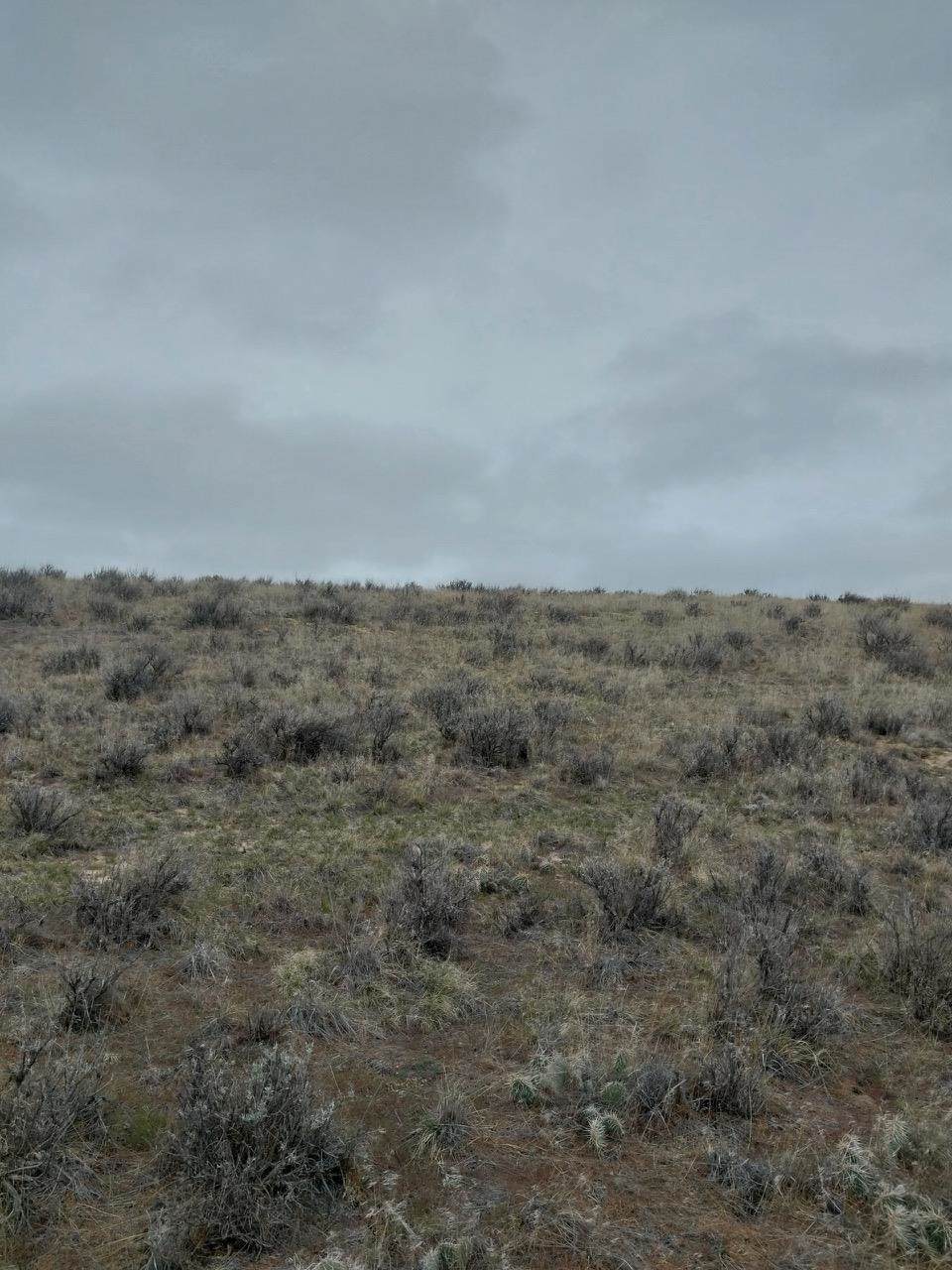 https://bt-photos.global.ssl.fastly.net/wyoming/orig_boomver_1_20261893-2.jpg