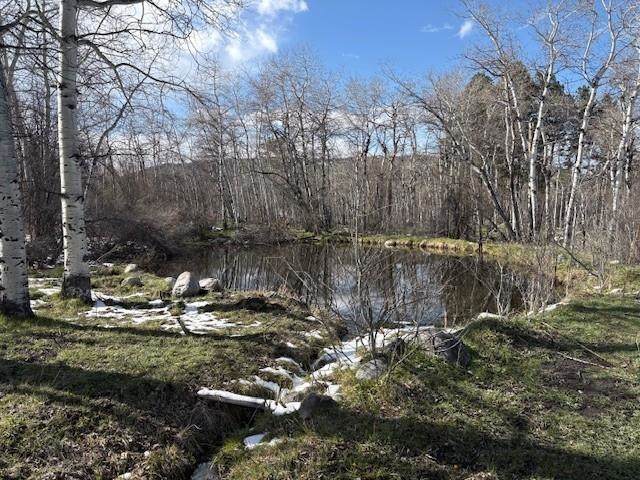 8 Buck Trail - Photo 1