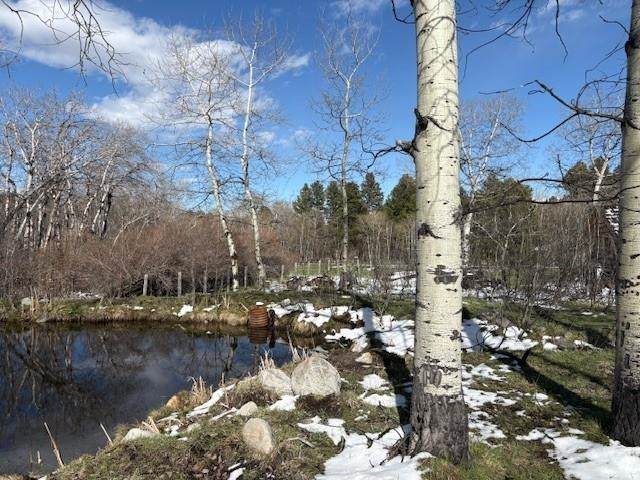https://bt-photos.global.ssl.fastly.net/wyoming/orig_boomver_1_20261967-2.jpg