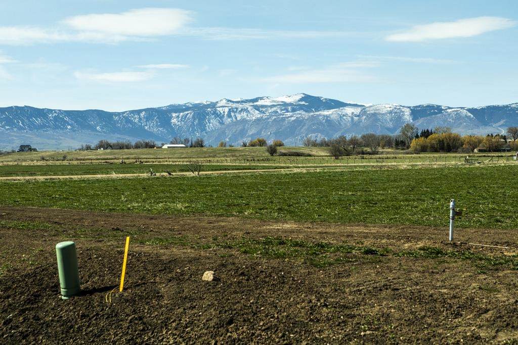 https://bt-photos.global.ssl.fastly.net/wyoming/orig_boomver_1_20261993-2.jpg