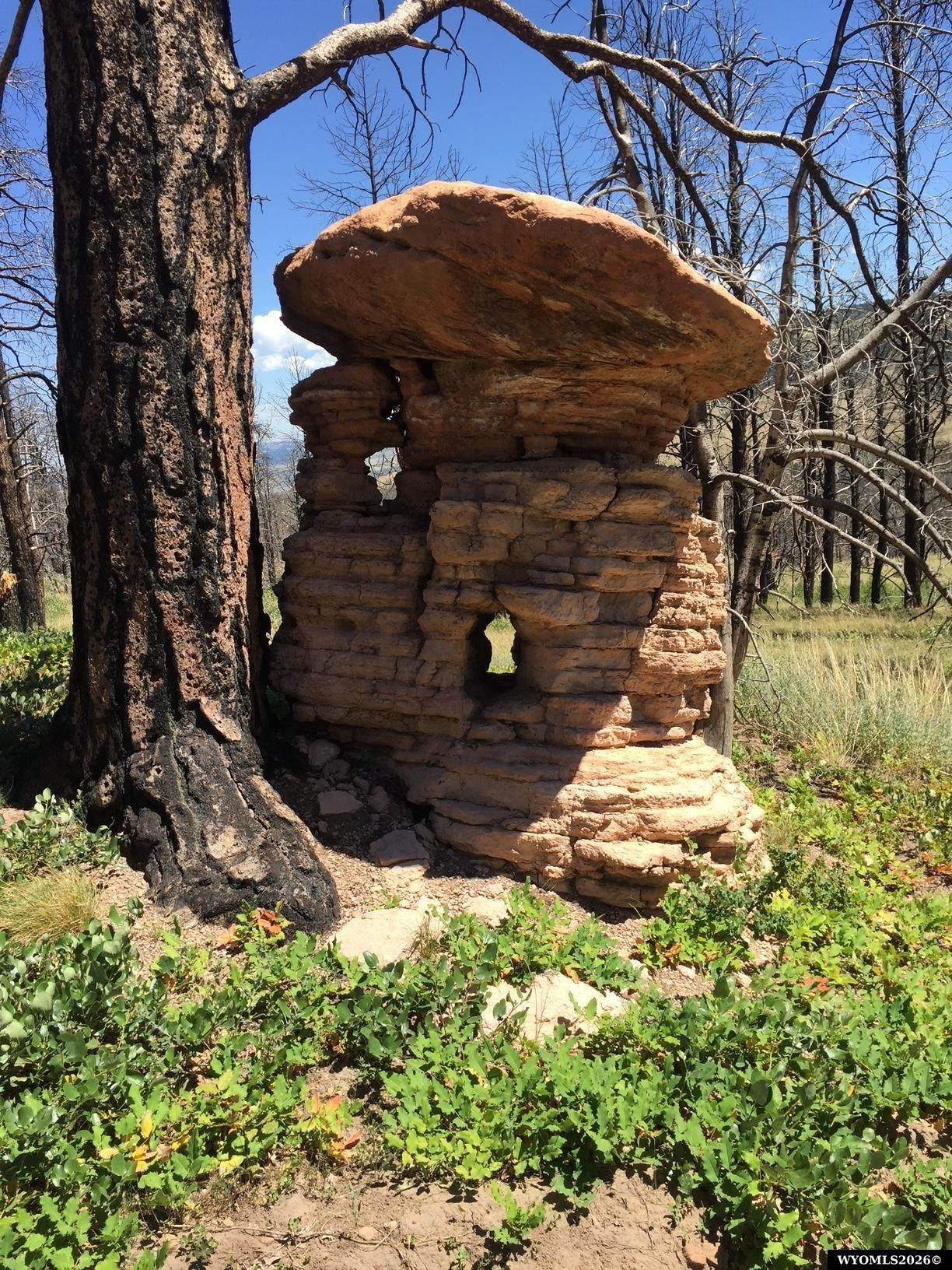 https://bt-photos.global.ssl.fastly.net/wyoming/orig_boomver_1_20263984-2.jpg