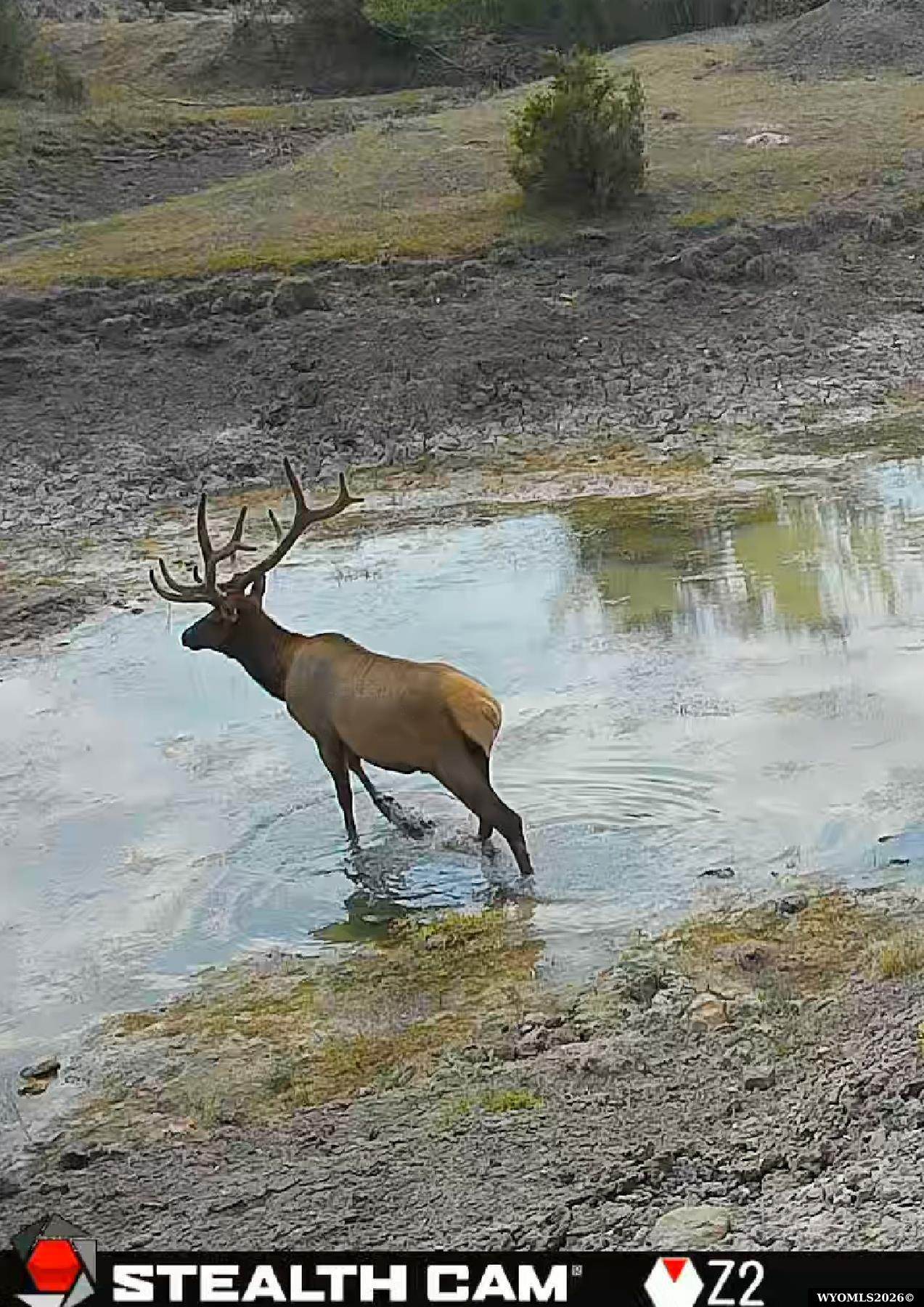https://bt-photos.global.ssl.fastly.net/wyoming/orig_boomver_1_20264077-2.jpg
