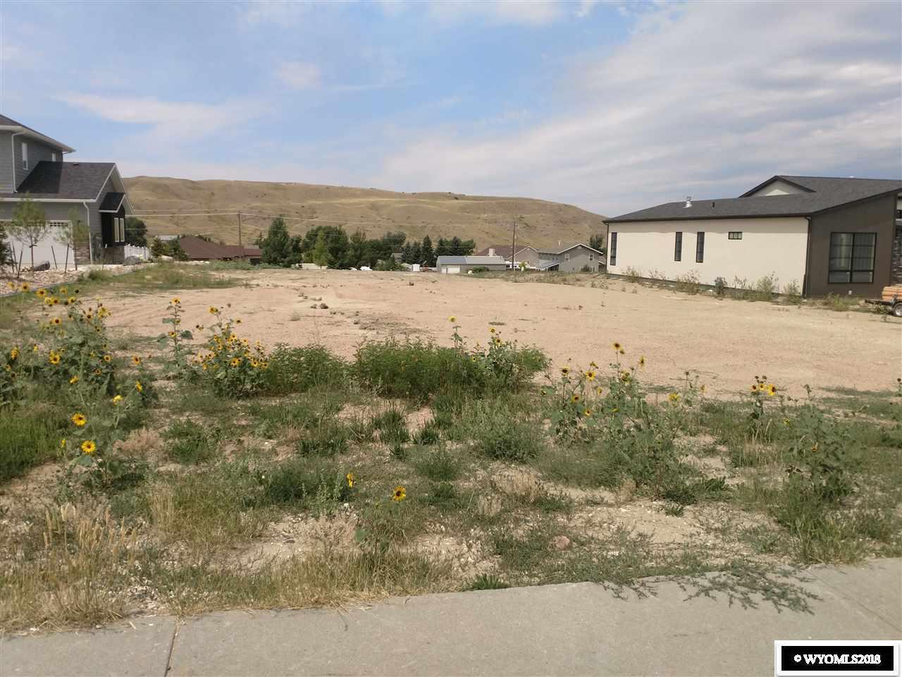 1741 Goodstein Drive - Photo 1
